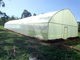 Greenhouse construction cost in kenya