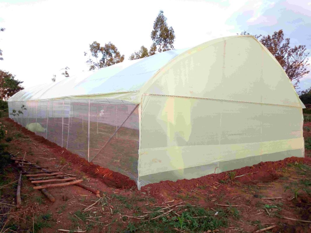 greenhouse construction in kenya