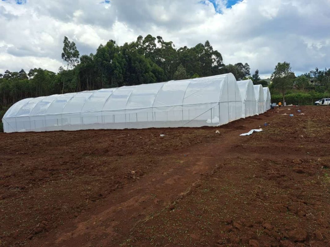 greenhouse construction in Kenya