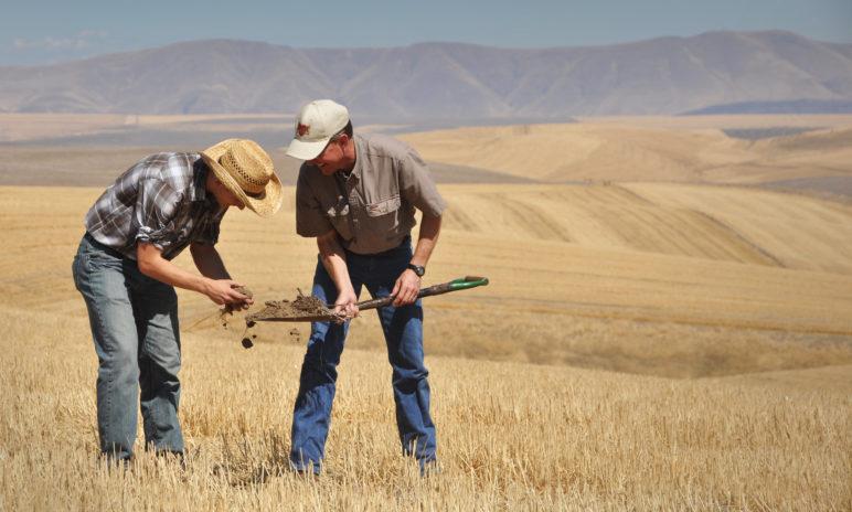 Empowering Farmers: Training⁢ and Resources for ‌Effective Irrigation Management