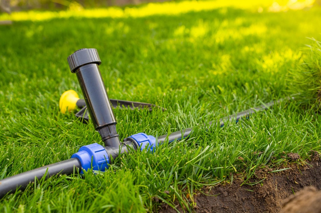 Cost of Lawn Irrigation Installation in Kenya